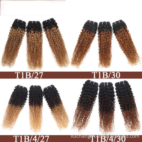 Ombre Cheap Raw Indian 100% Human Hair Kinky Curly Bundles With Closure Virgin Mink Brazilian Cuticle Aligned Hair Extensions
